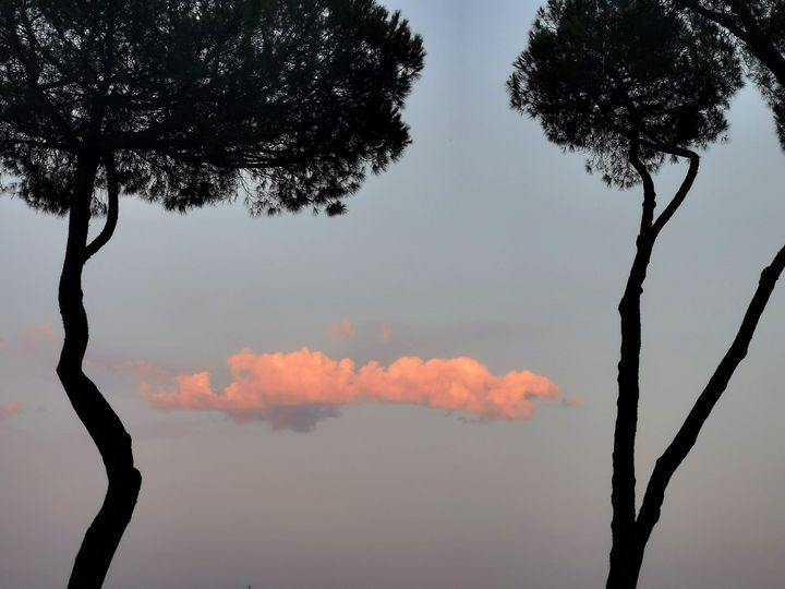 consueling sciamanico