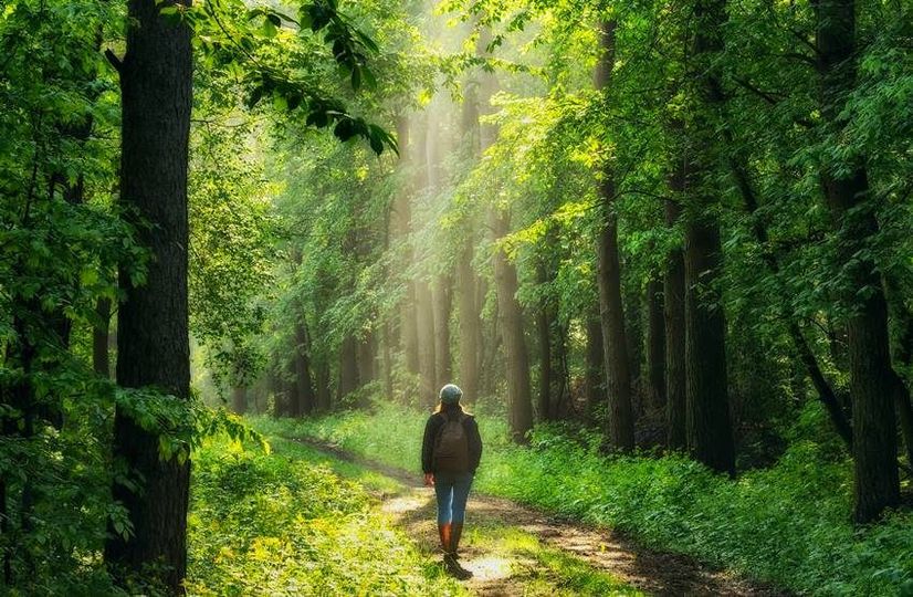 visualizzazione creativa