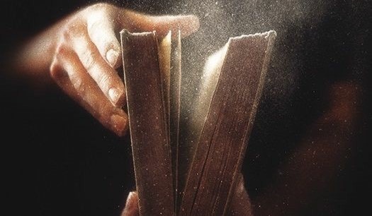 201662735 1083376735521426 6805520777461151897 n