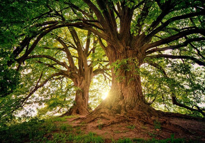 233282143 1116369048888861 6911636821458114352 n