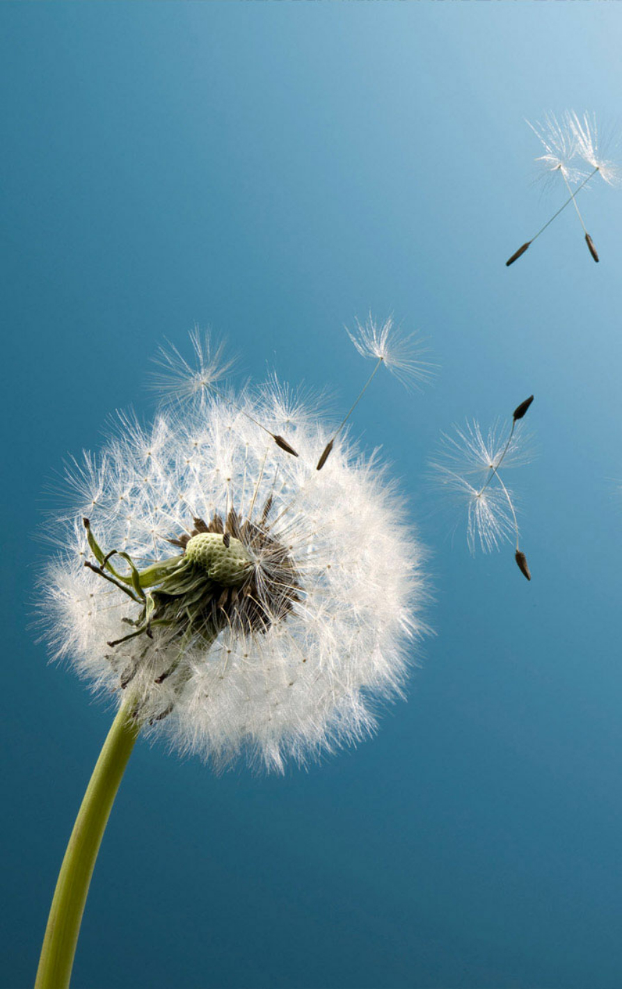 LA MORTE NON E NIENTE 