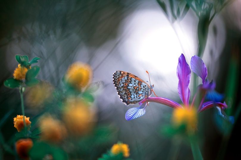 190658945 1066172210575212 24064308915401540 n